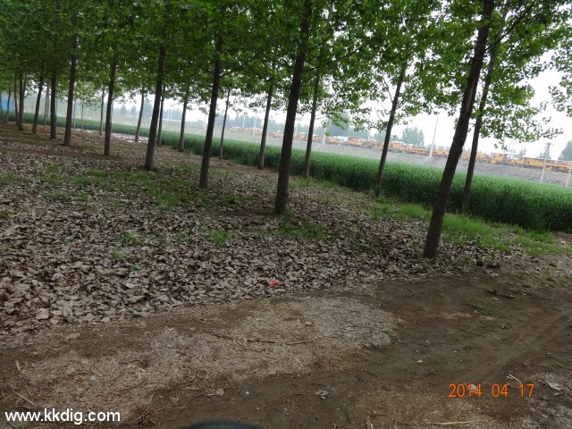 DSC00072
