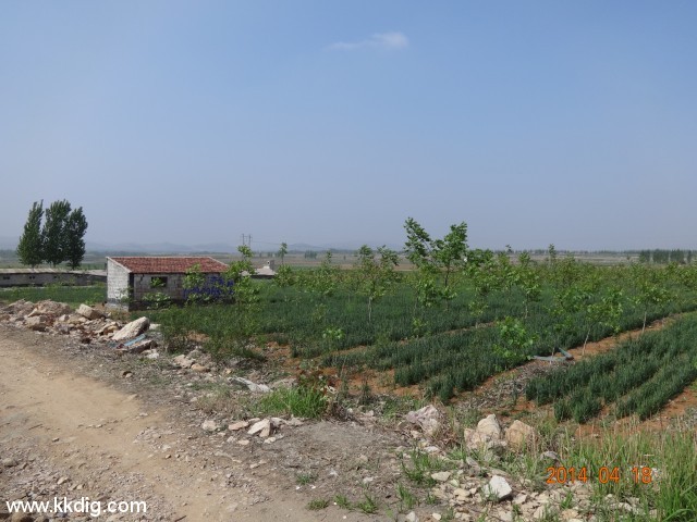 DSC00012