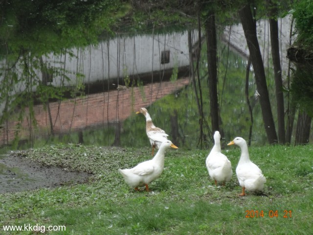 DSC00072
