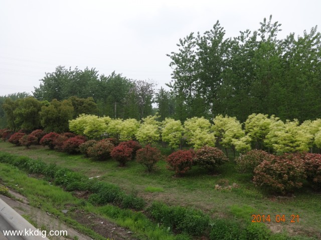 DSC00114