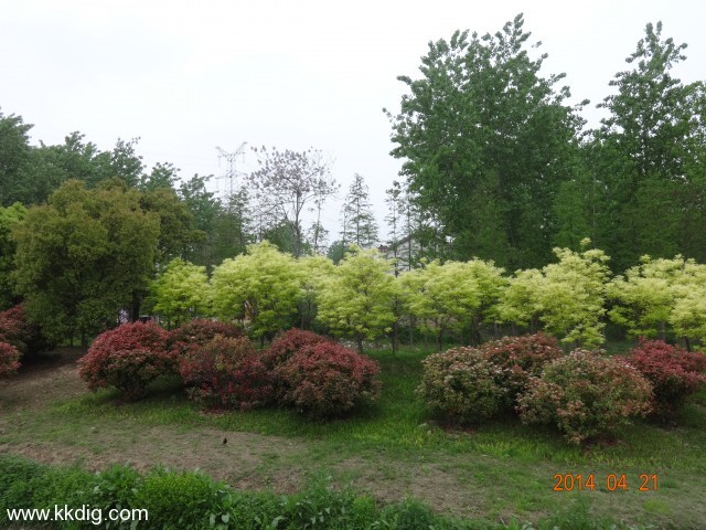 DSC00115