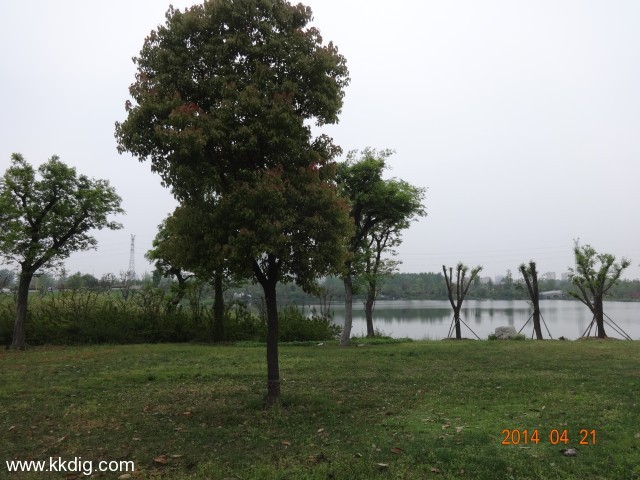 DSC00135