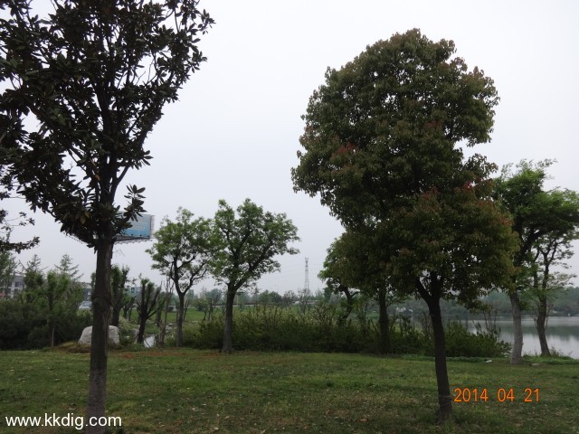 DSC00136