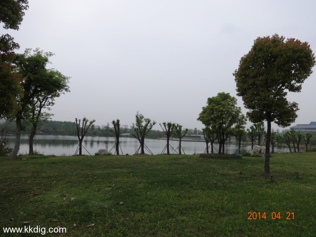 DSC00137