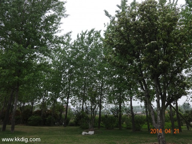 DSC00138