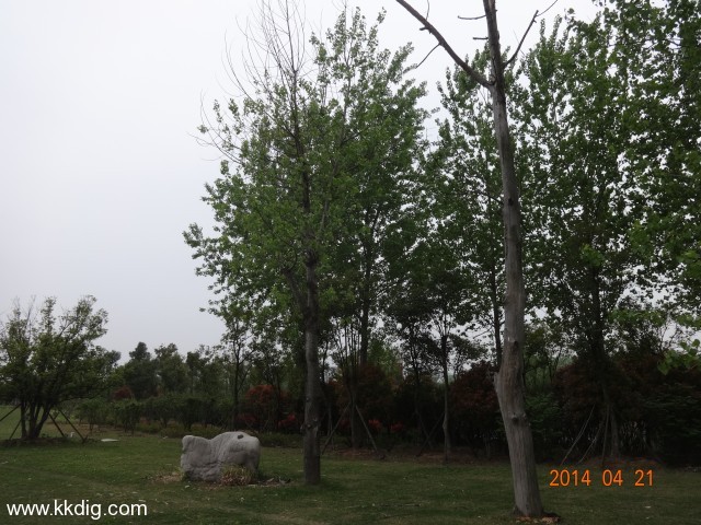 DSC00139