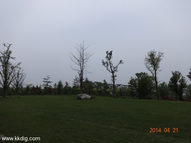 DSC00141