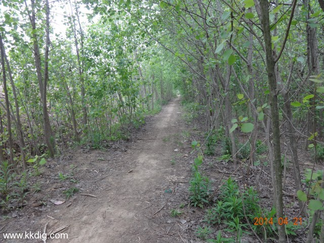 DSC00149