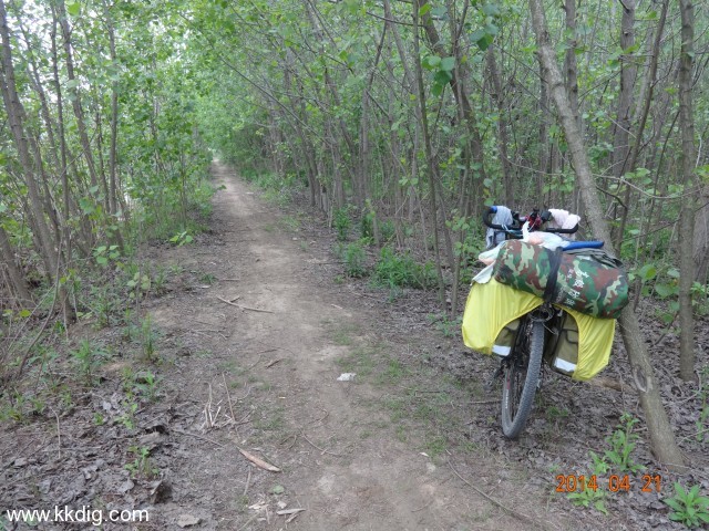 DSC00150