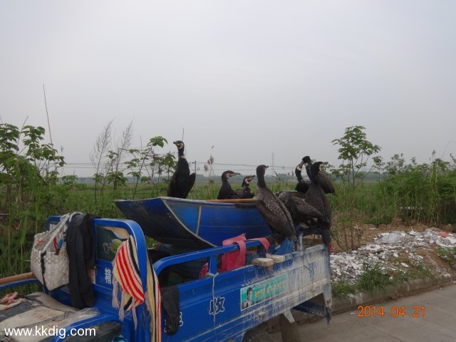 DSC00167