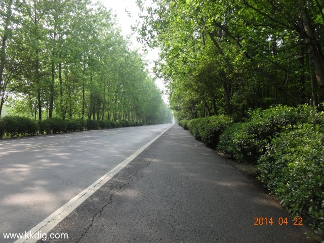 DSC00198