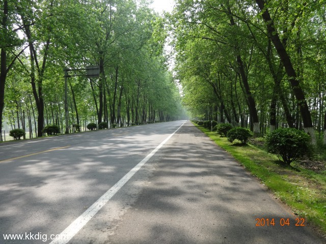 DSC00219
