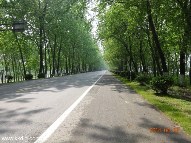 DSC00220