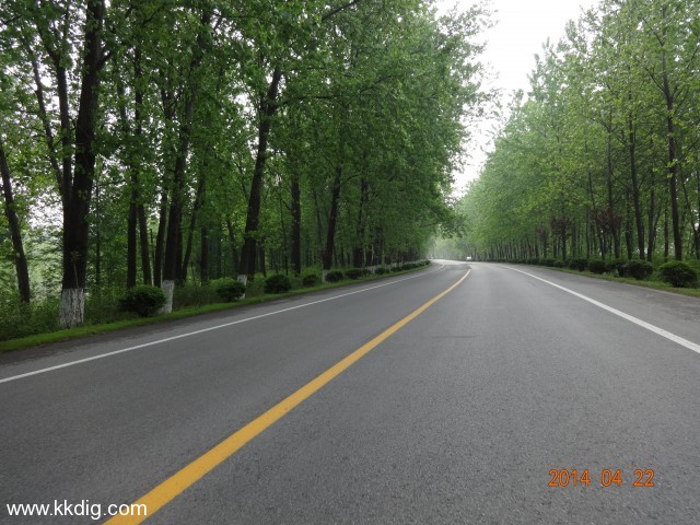 DSC00223