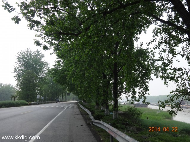 DSC00226