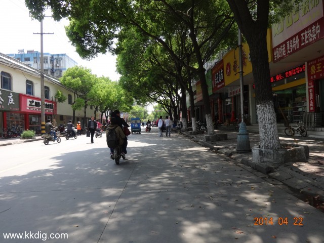 DSC00247
