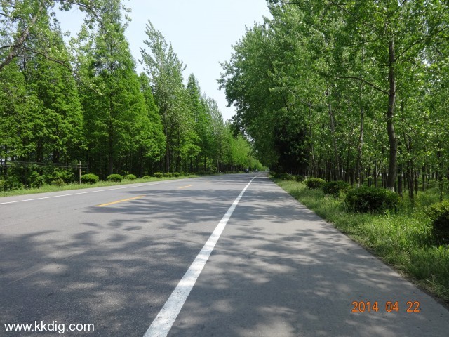 DSC00256