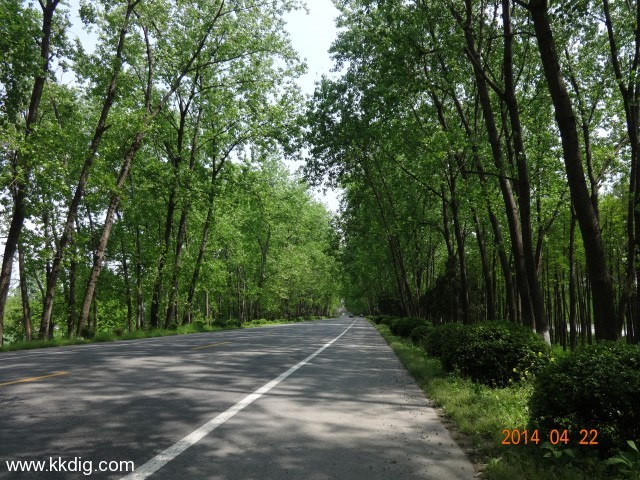 DSC00264