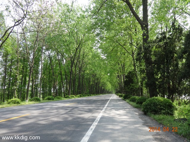 DSC00266