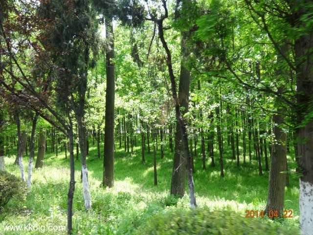 DSC00273