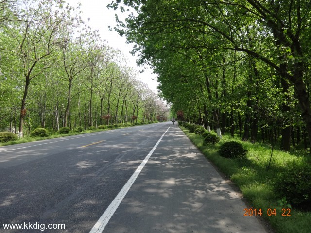 DSC00275