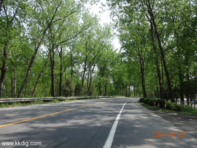 DSC00277