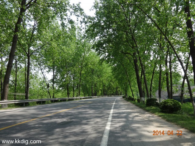 DSC00279
