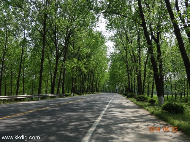 DSC00282