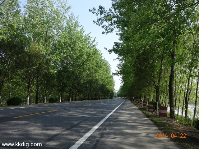 DSC00301