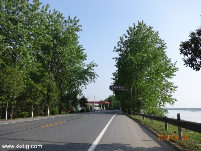DSC00303