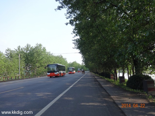 DSC00307