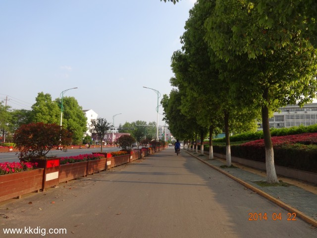 DSC00312