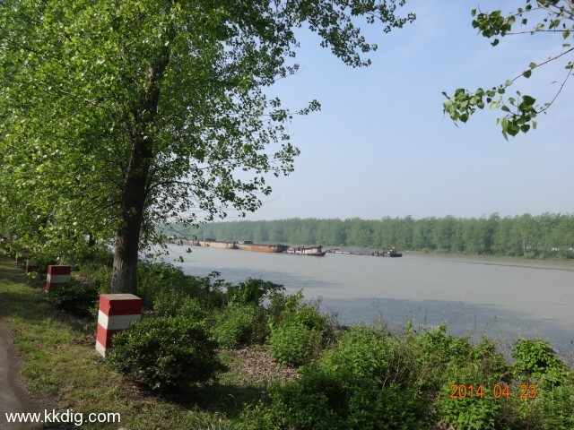 DSC00323