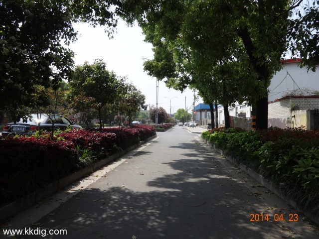DSC00349