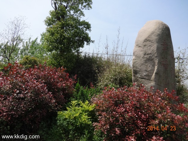DSC00351
