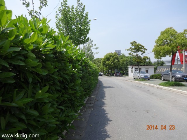 DSC00369