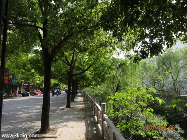 DSC00396