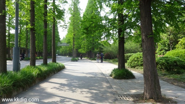 DSC00401
