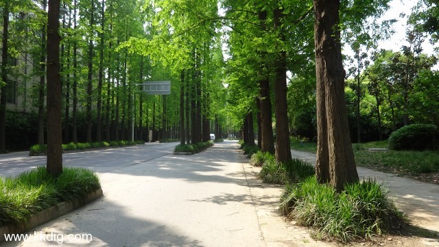 DSC00405