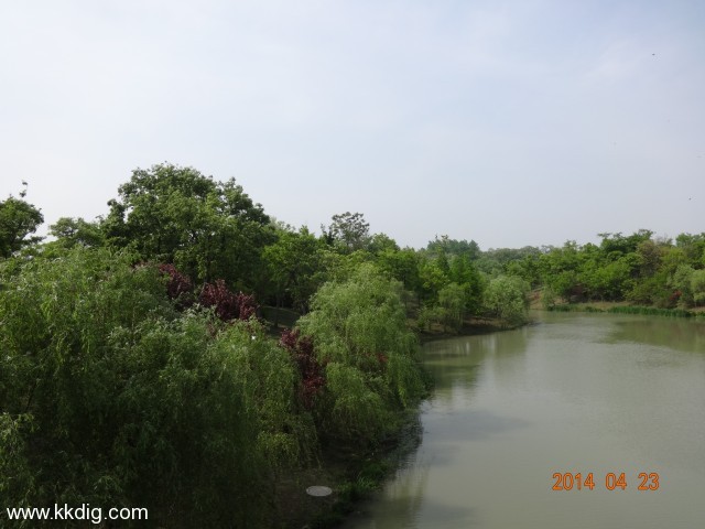 DSC00415