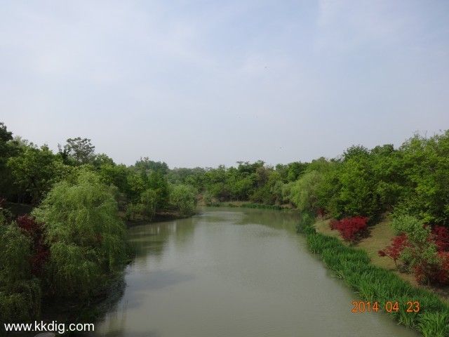 DSC00416