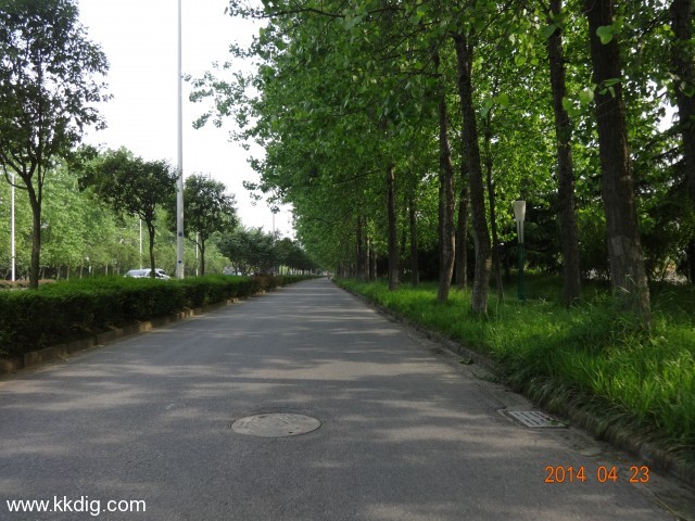 DSC00430