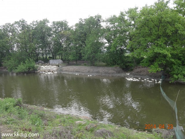 DSC00446