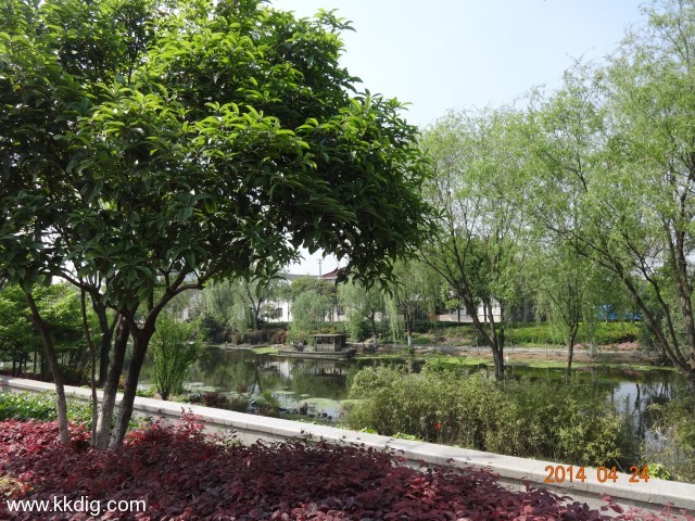DSC00478