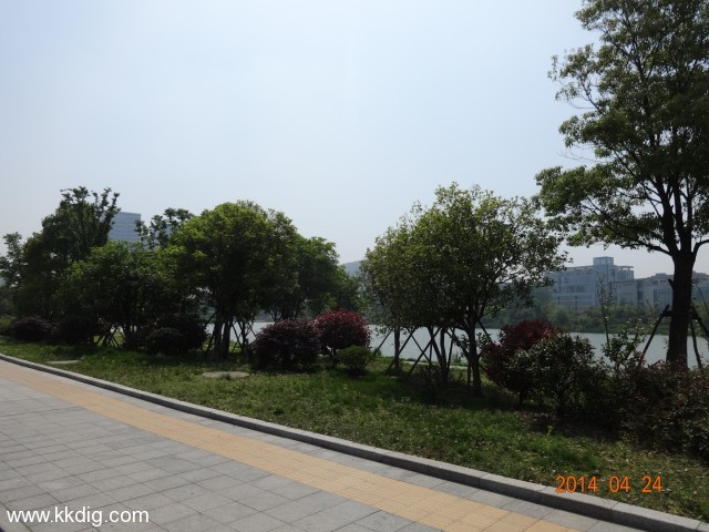 DSC00496