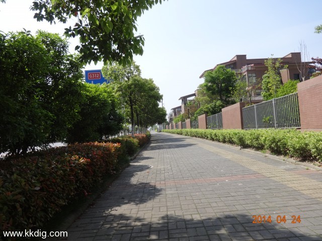 DSC00509