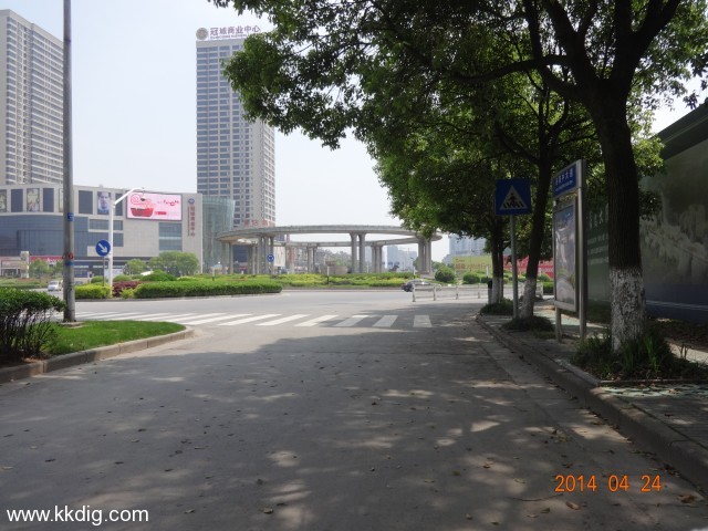 DSC00535