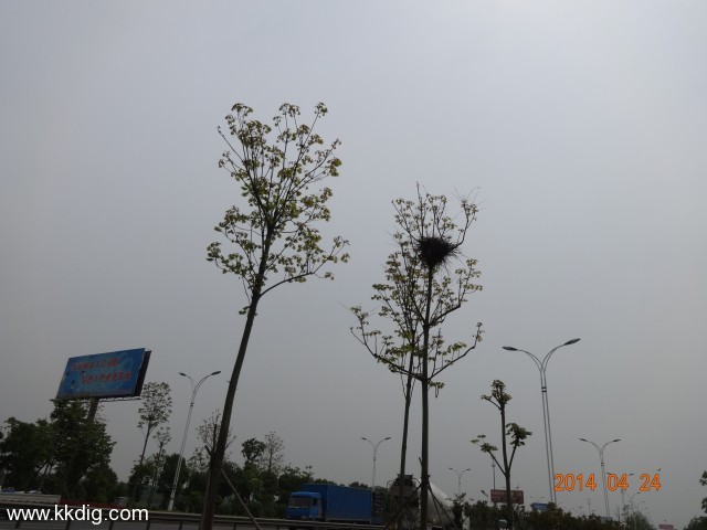 DSC00560