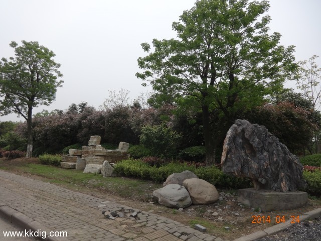 DSC00562