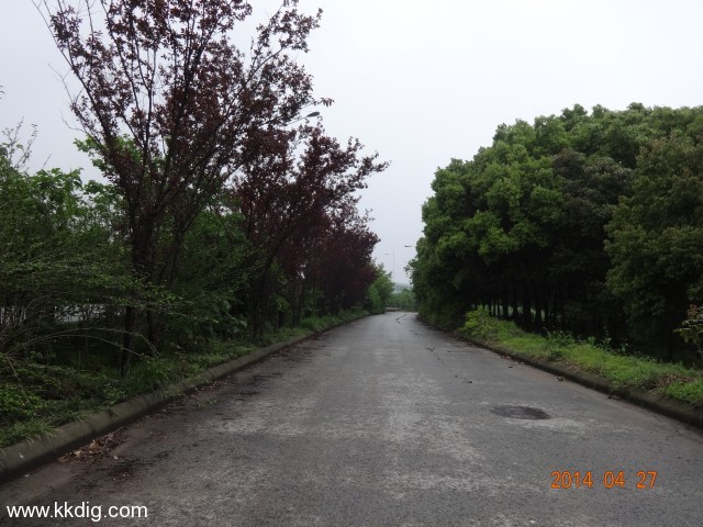 DSC00720